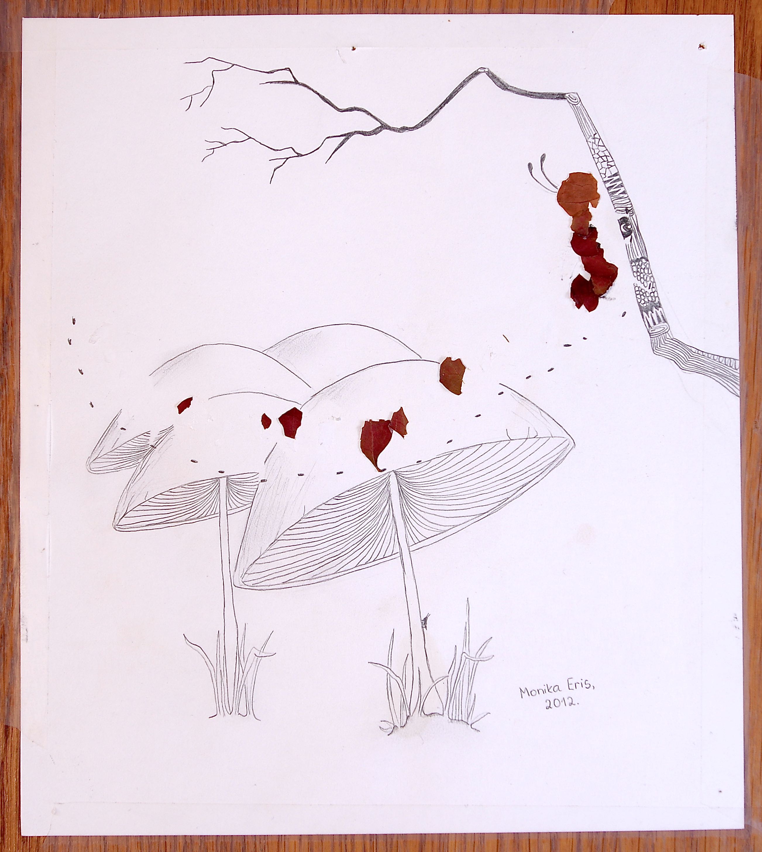 Lightbox image 3